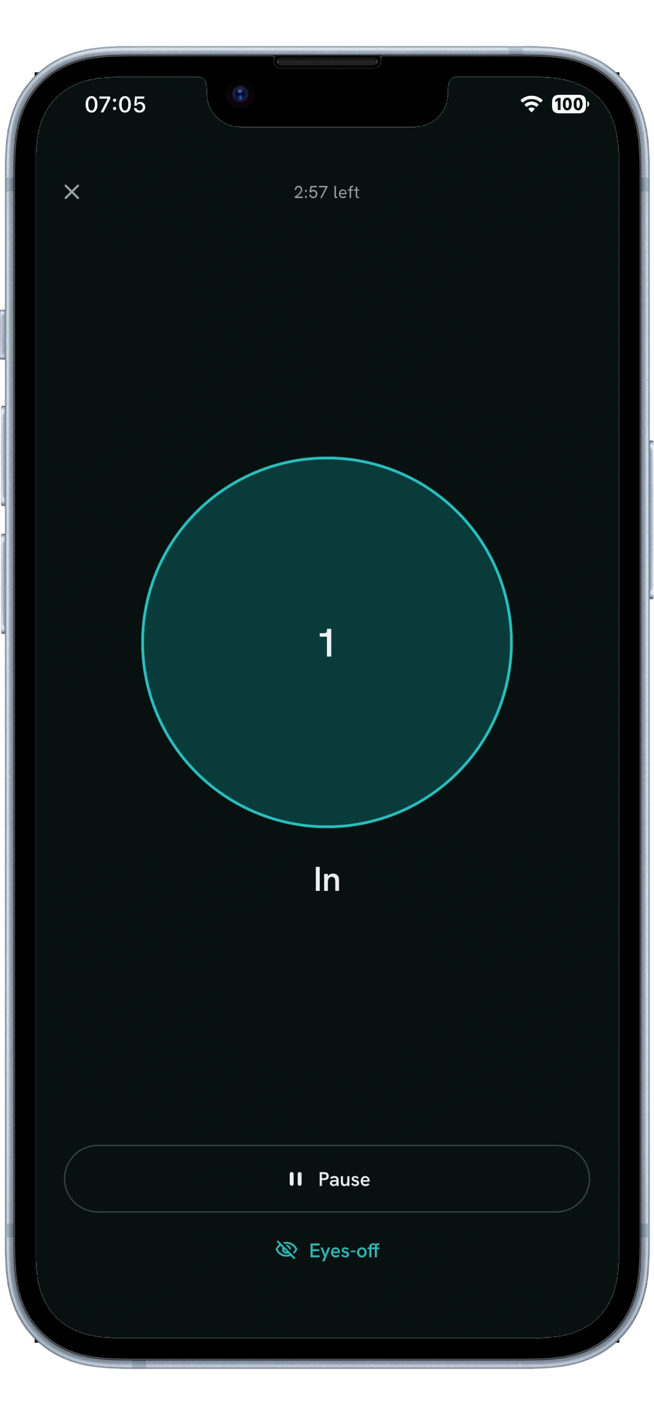 Breathing session screen